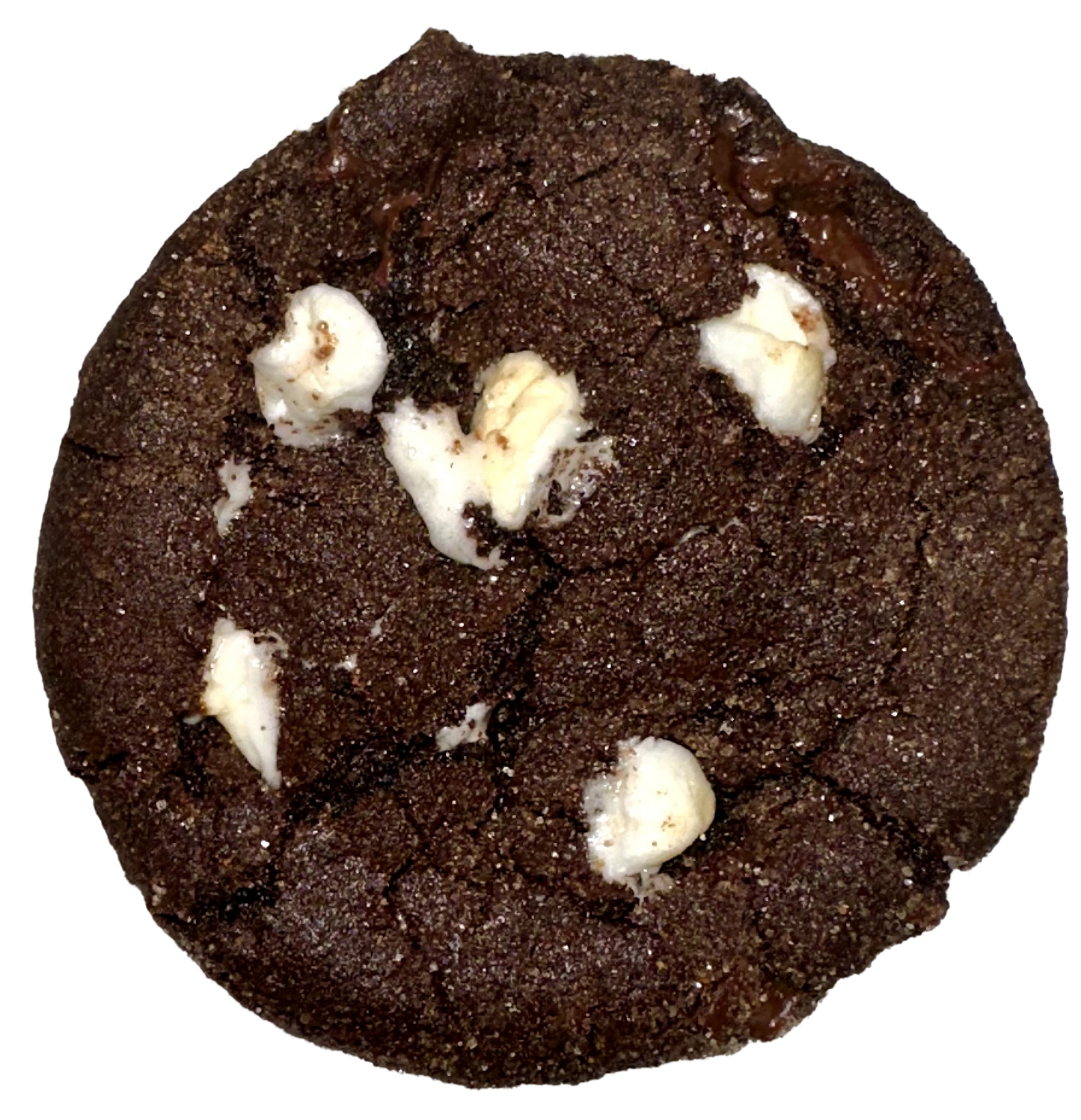 CLASSIC - Chili Lili - Spicy Chocolate Chili Cookies - 10 per box